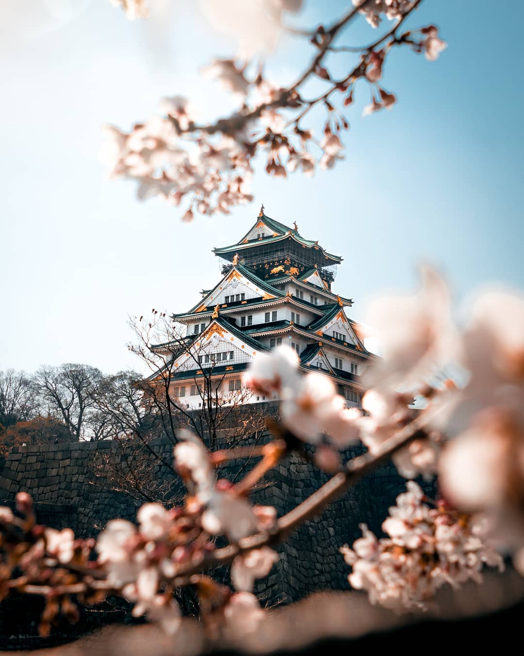 Antonio Sbarra Japan - Osaka Castle