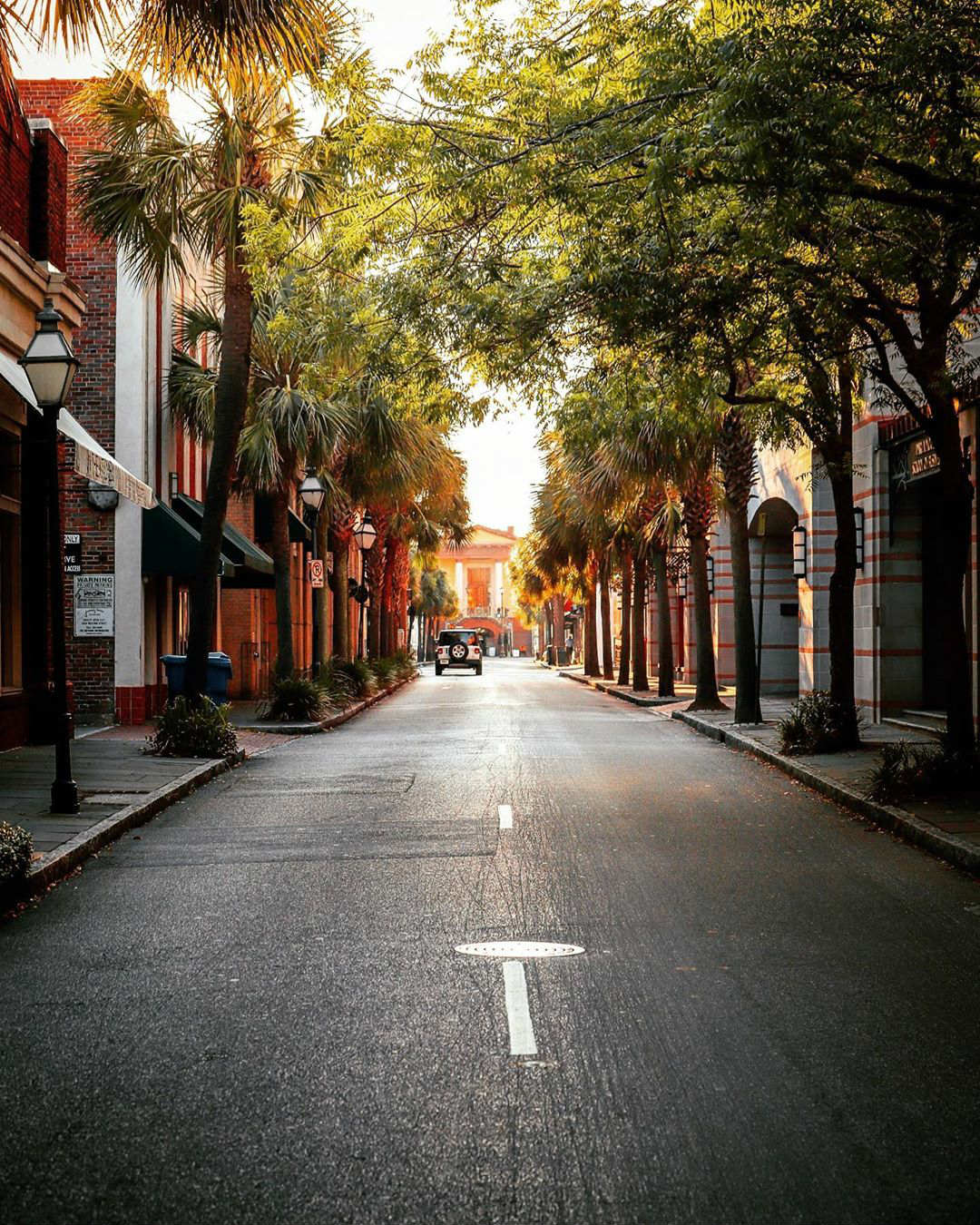 Quaint Streets of Charleston