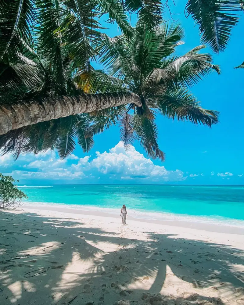 Things To Do in Seychelles