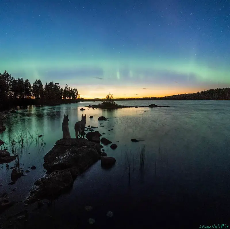 Northern Lights of Sweden