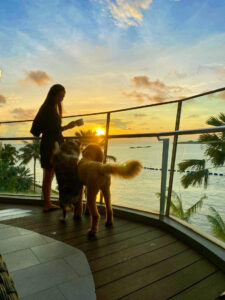 Singapore Expat Guide