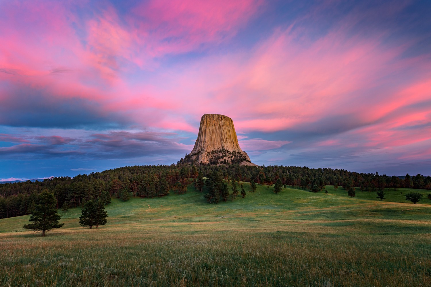 6 Best Things To Do at Devils Tower (Wyoming) Travel Guide