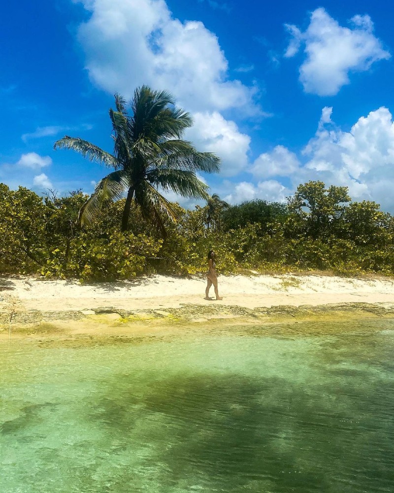 Great Bird Island