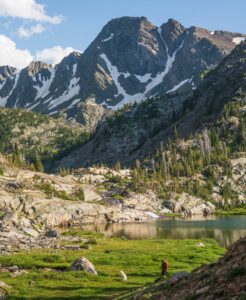 Greater Yellowstone Ecosystem
