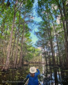 Caddo Lake State Park