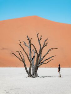 Deadvlei