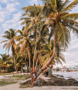 Caye Caulker