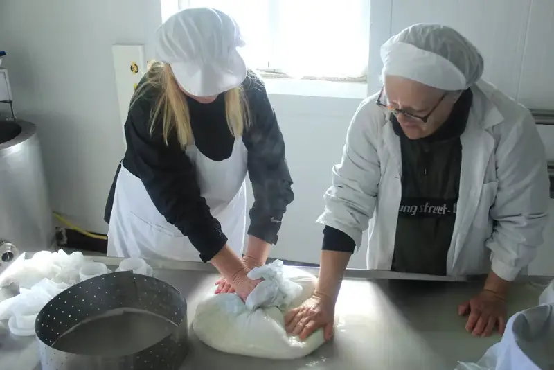 Cheese Making Classes