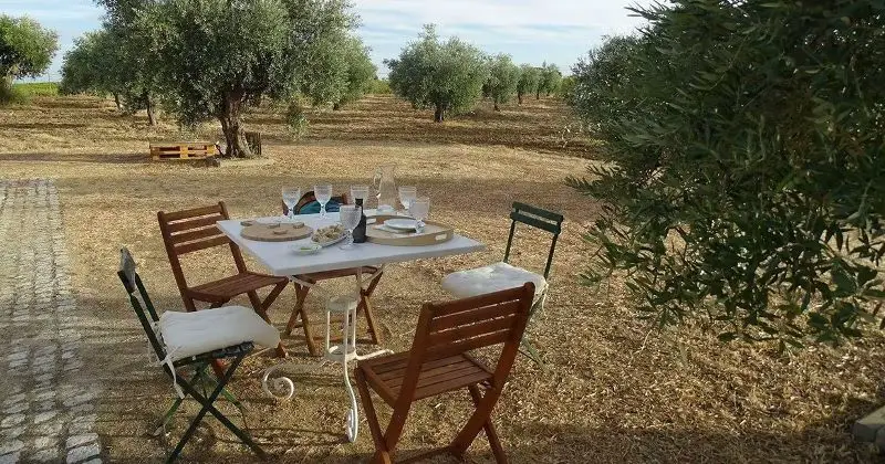 Farm Tours in Portugal