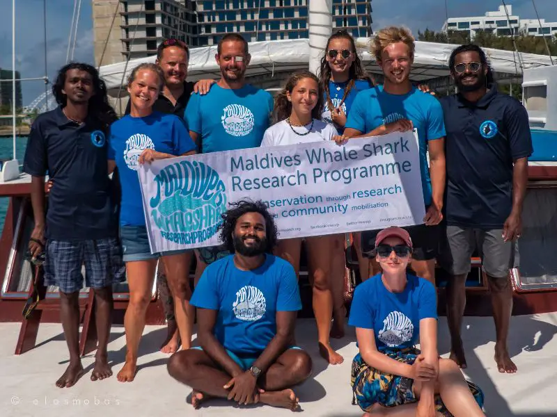 Maldives Whale Shark Research Program