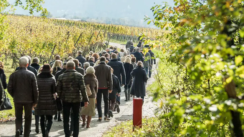 Best Wine Tours in Switzerland