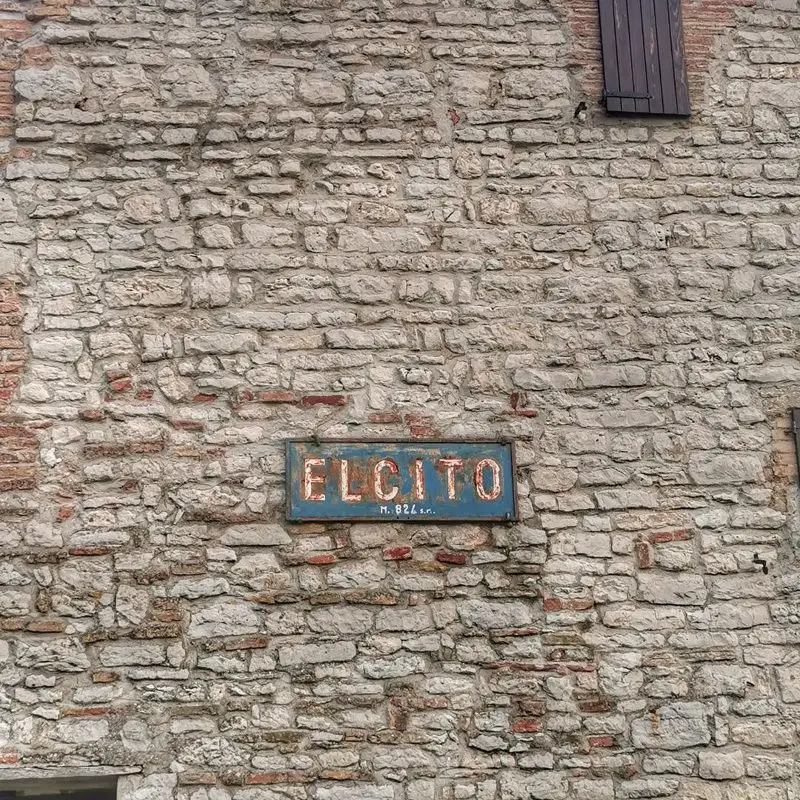 Elcito