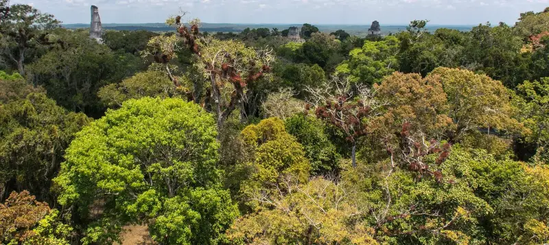 Tikal Tours