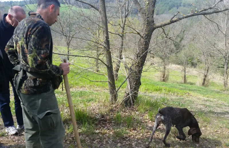 Truffle Hunting in Umbria