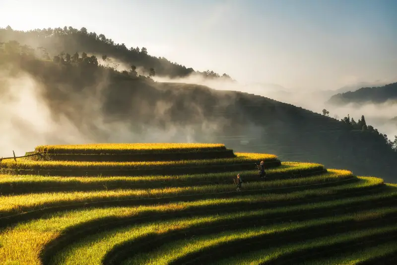 Northern Vietnam’s Rice Terraces