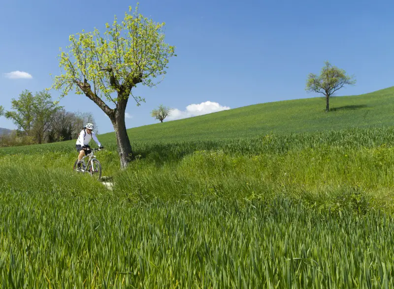 Walking Cycling Umbria