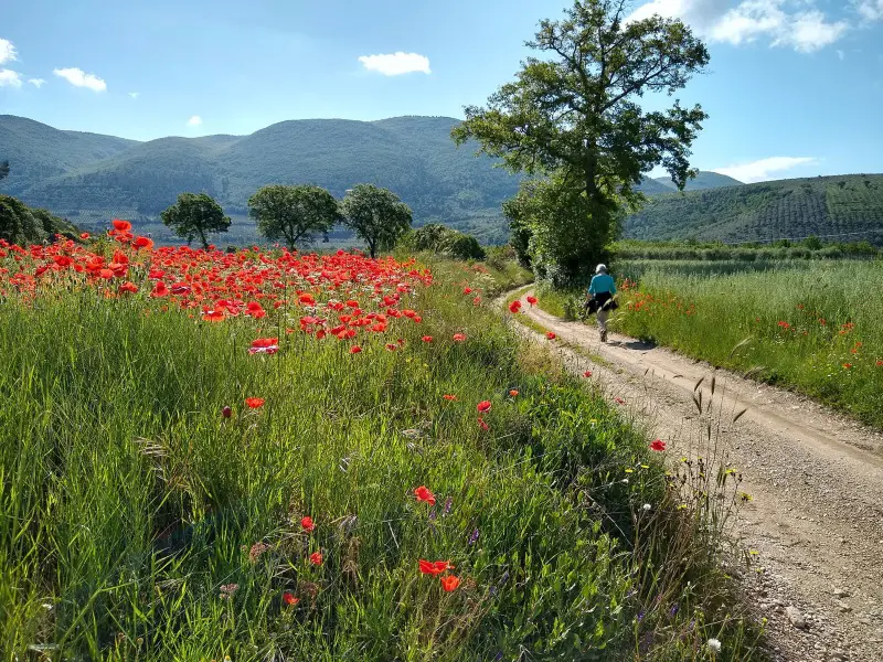 Walking Cycling Umbria