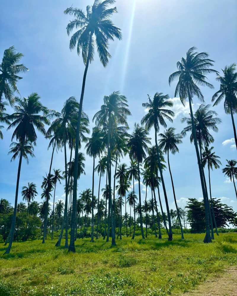 Koh Lanta