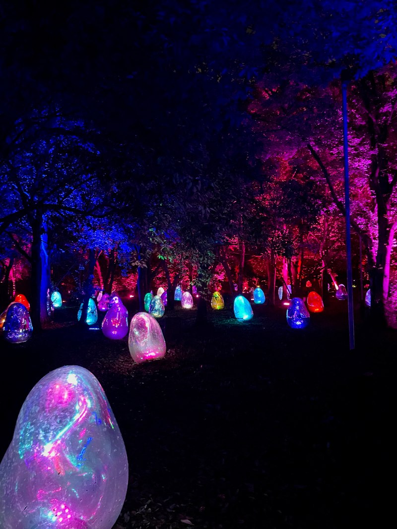 Osaka teamLab Botanical Garden Osaka