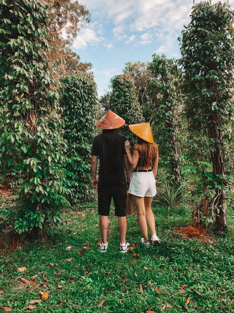 Phu Quoc Pepper Farm Tour