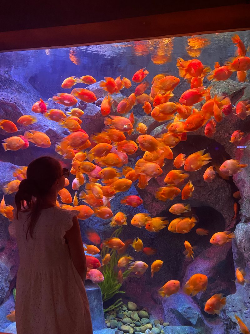 Phu Quoc VinWonders