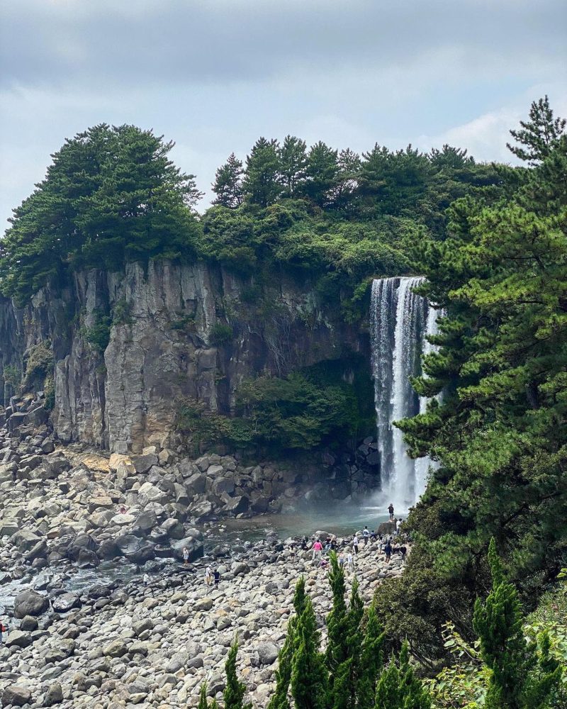 Jeju Jeju