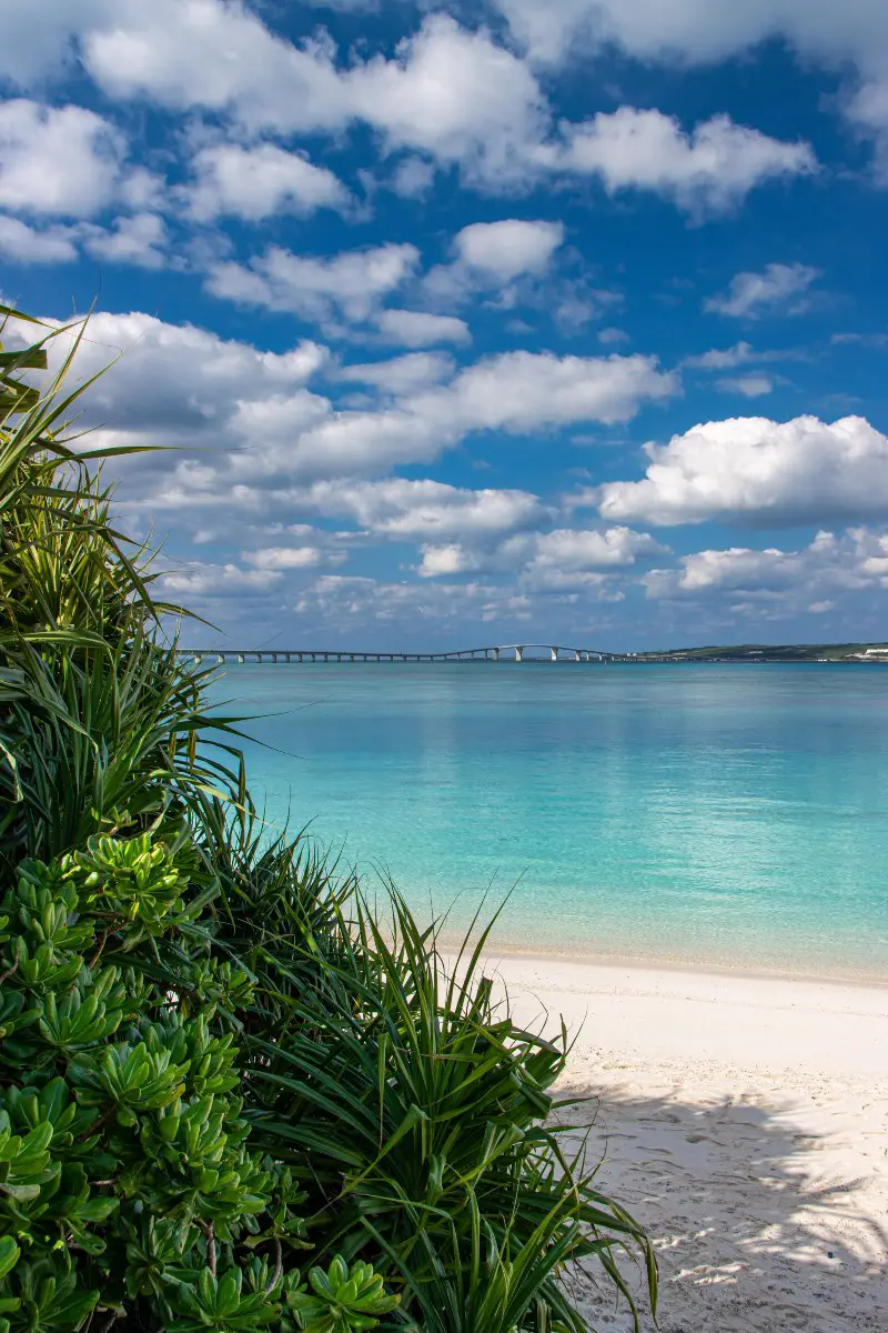 Beaches of the Okinawan Islands