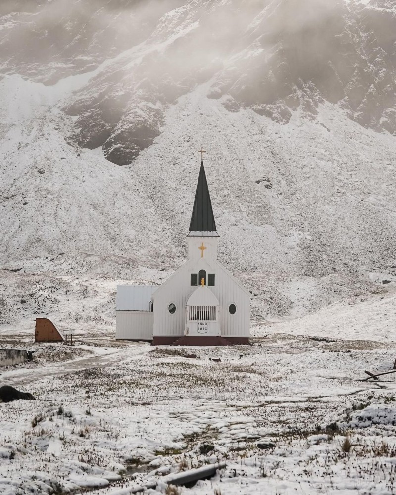 South Georgia Island Silversea Cruise