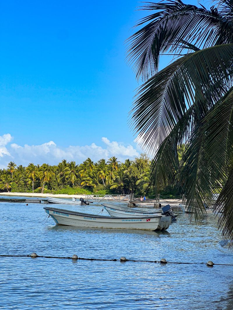 Punta Cana Punta Cana