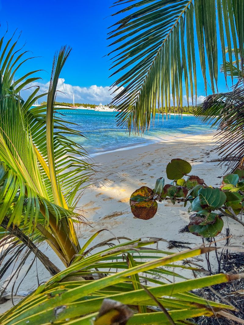 Punta Cana Punta Cana