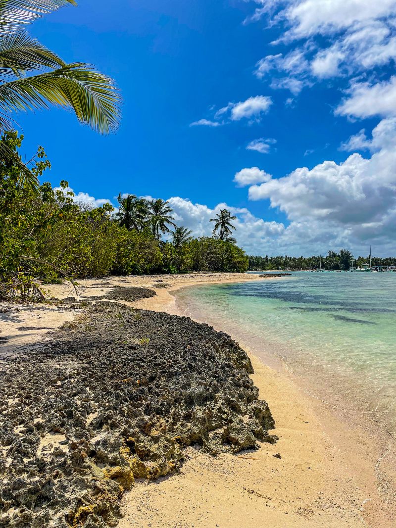 Punta Cana Punta Cana