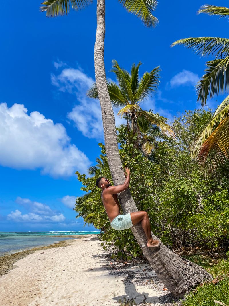 Punta Cana Punta Cana