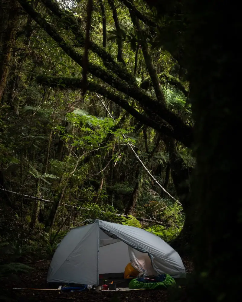 NZ Camping