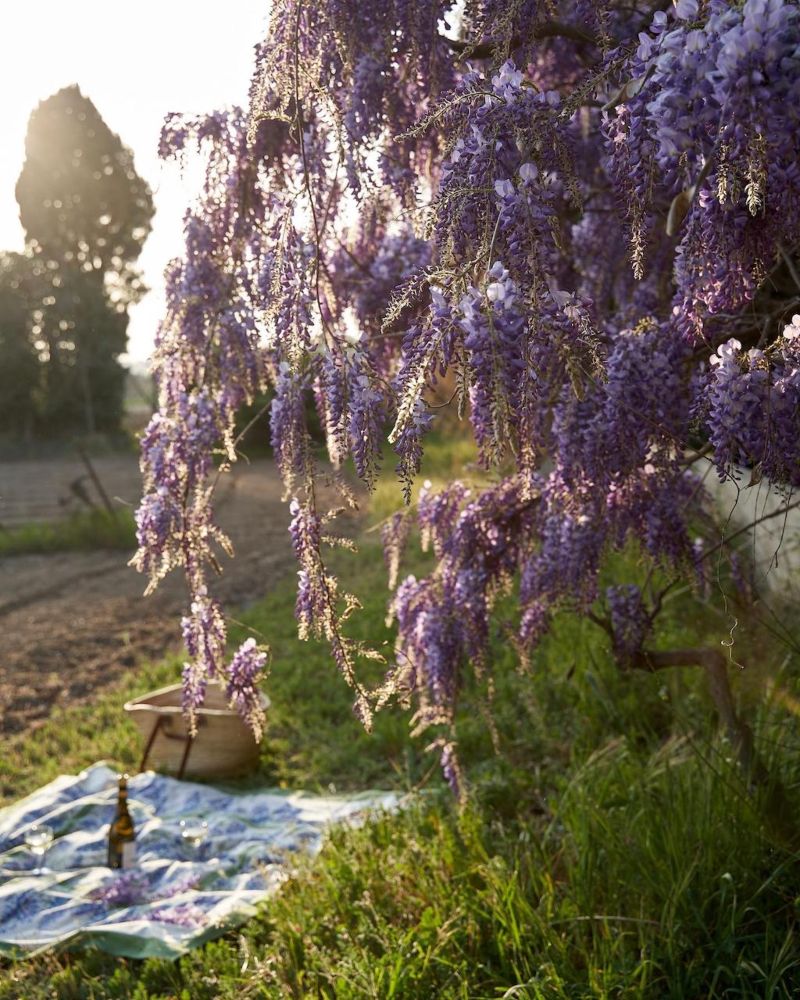 Aix-en-Provence