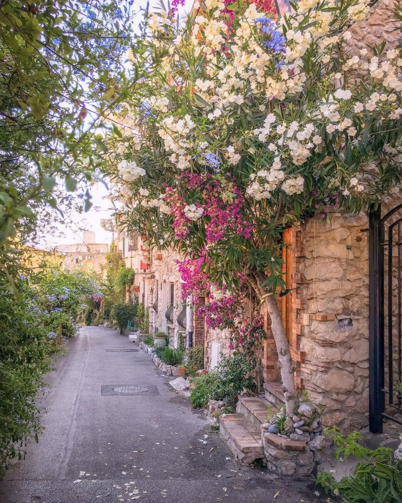 Antibes Antibes
