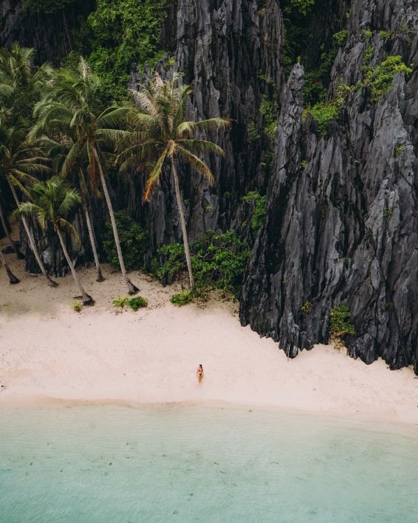 the-nest-philippines