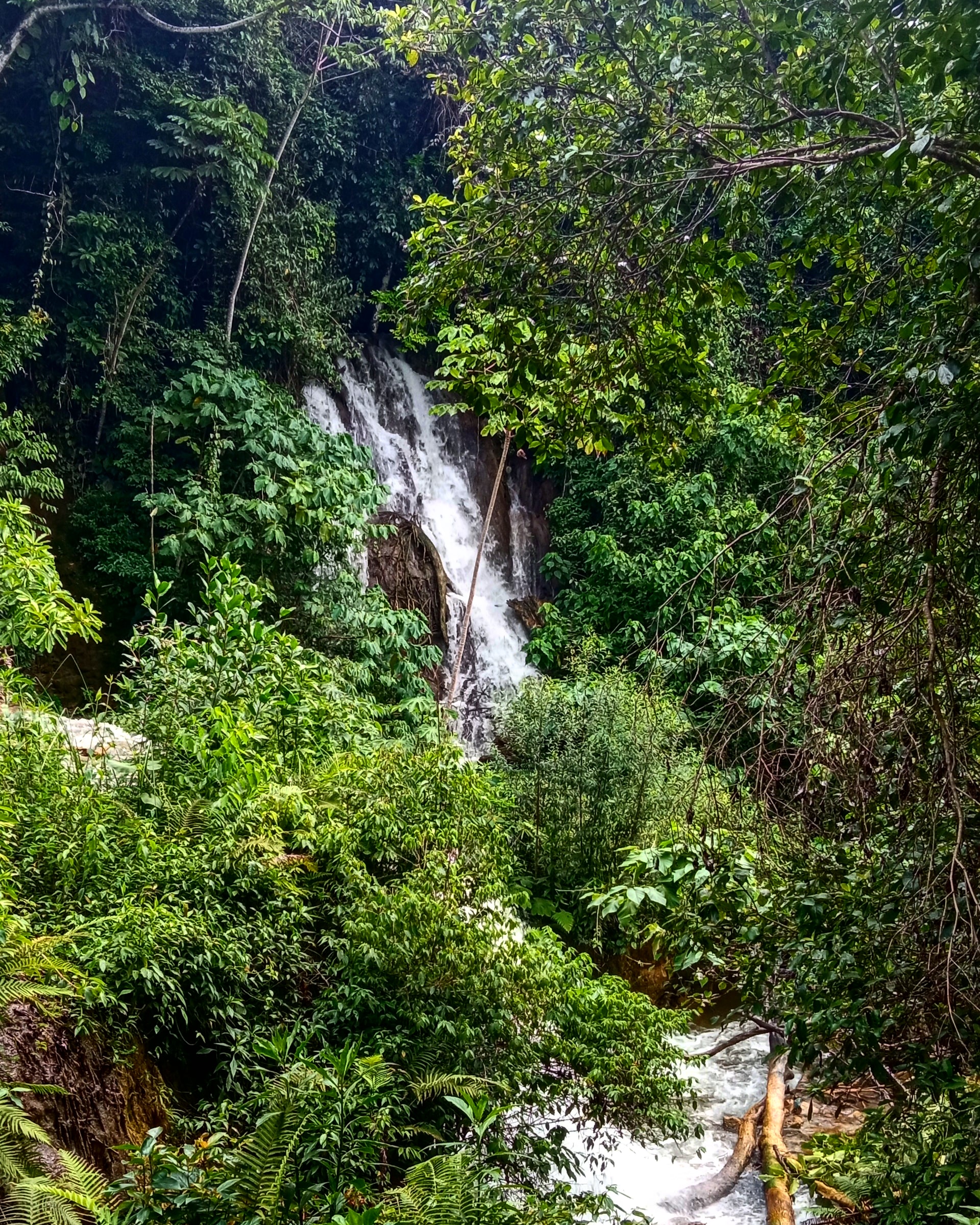 mexican-jungle-slow-travel-trash